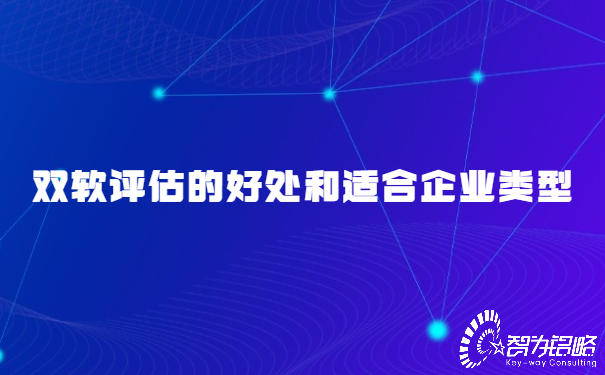 雙軟評估的好處和適合企業類型