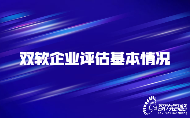 雙軟企業評估基本情況