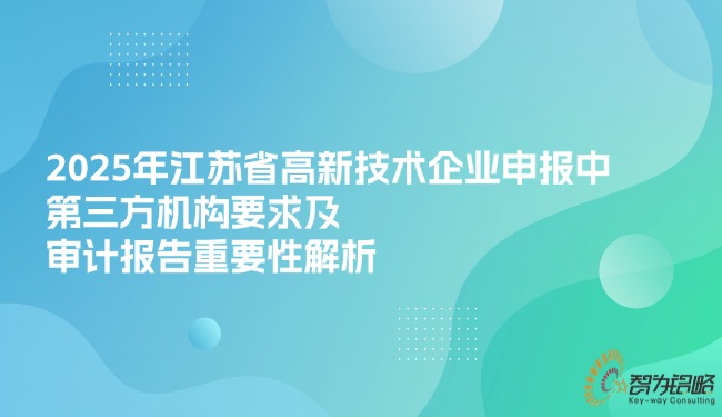 2025年江蘇省高新技術(shù)企業(yè)申報(bào)中*三方機(jī)構(gòu)要求及審計(jì)報(bào)告重要性解析.jpg